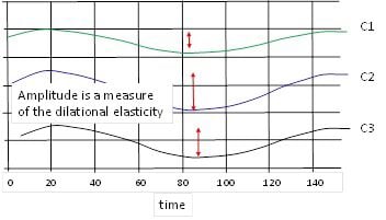 Scientific Setup