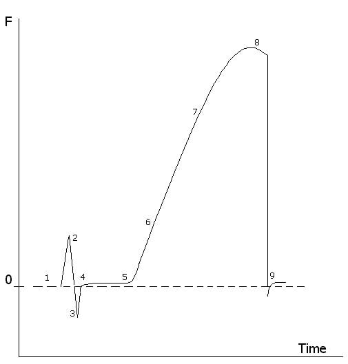 Scientific Setup
