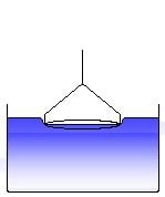 Scientific Setup