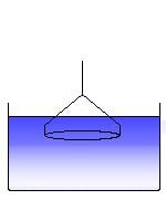 Scientific Setup