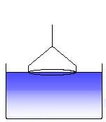 Scientific Setup