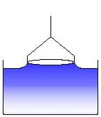 Scientific Setup