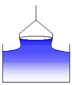 Scientific Setup