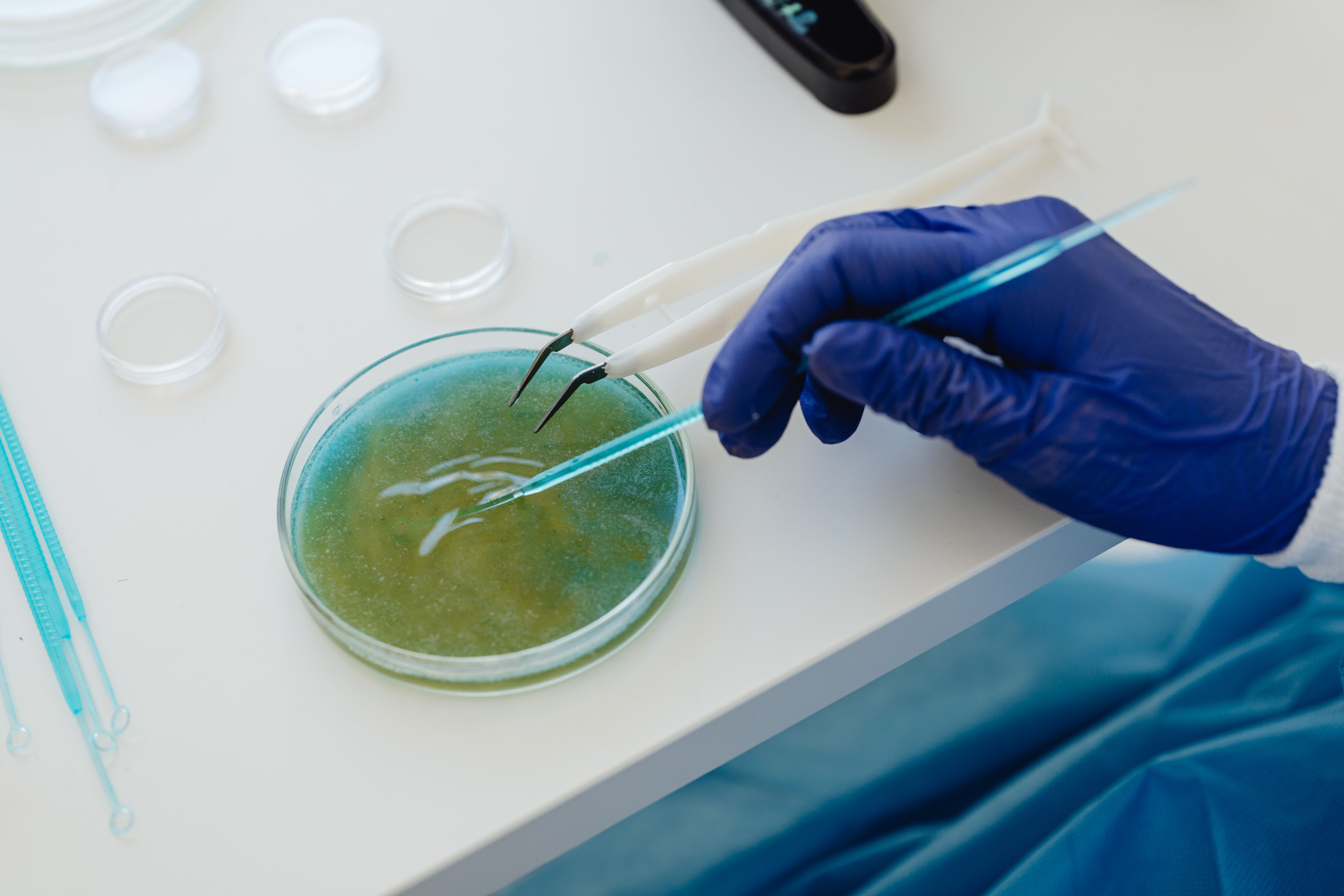 Protein and biopolymer interface research