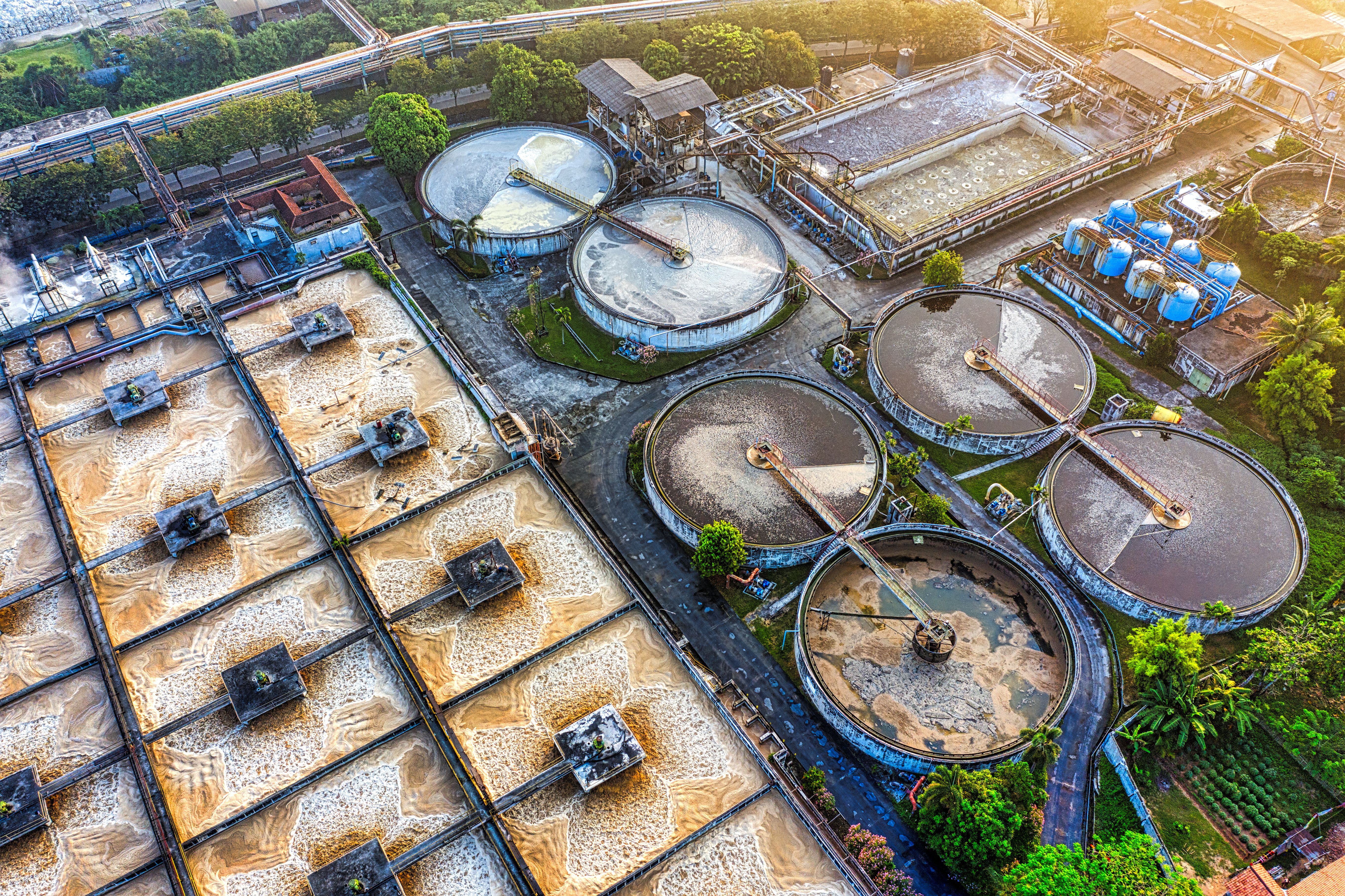 Dynamic surface tension analysis for wastewater monitoring
